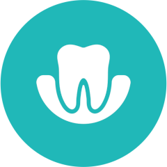 periodontics icon